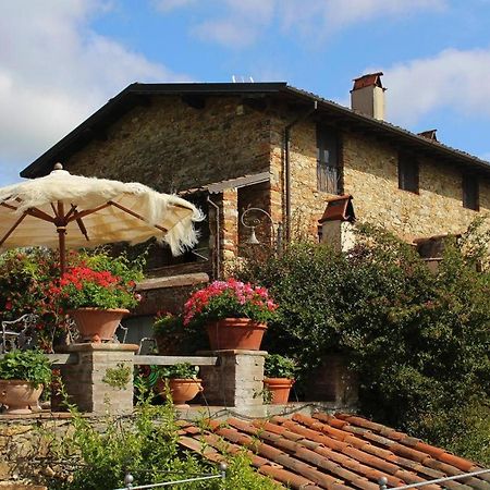 Premium Villa With Terrace Massarosa Dış mekan fotoğraf